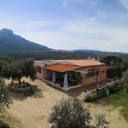 Villa L'Oleandro Oliena Ngoại thất bức ảnh