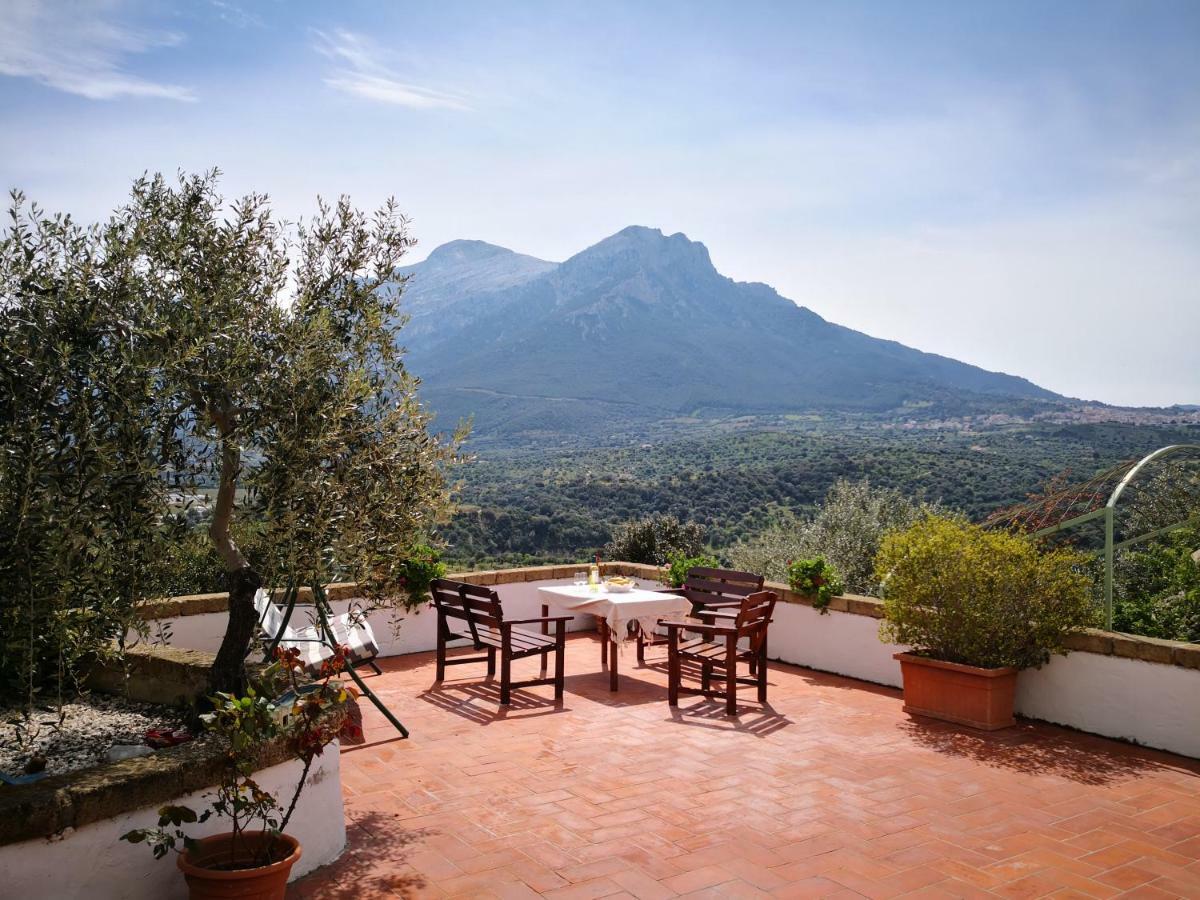 Villa L'Oleandro Oliena Ngoại thất bức ảnh