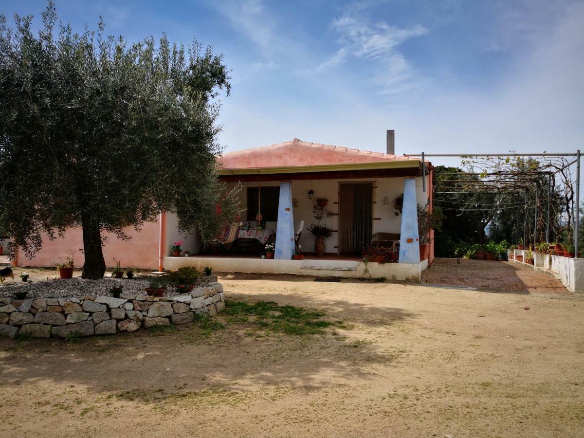 Villa L'Oleandro Oliena Ngoại thất bức ảnh