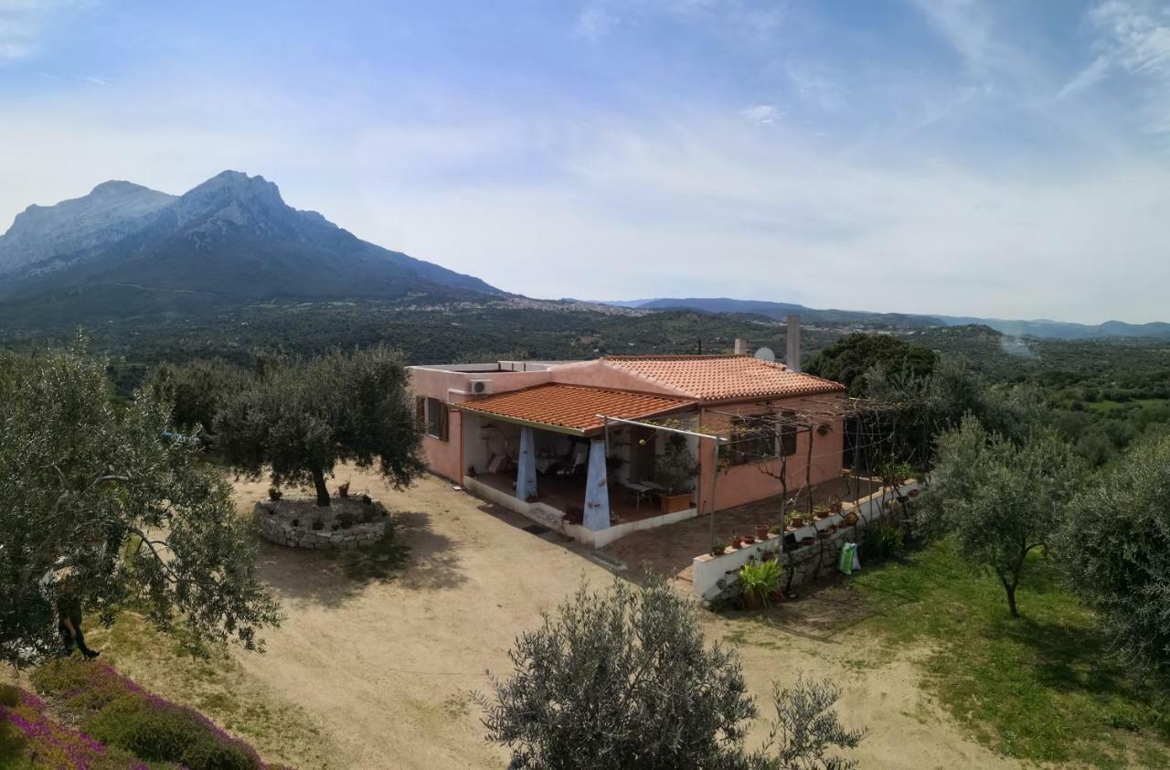Villa L'Oleandro Oliena Ngoại thất bức ảnh