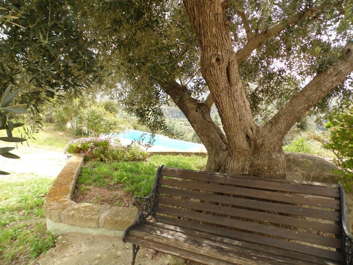 Villa L'Oleandro Oliena Ngoại thất bức ảnh