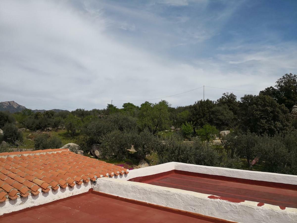 Villa L'Oleandro Oliena Ngoại thất bức ảnh
