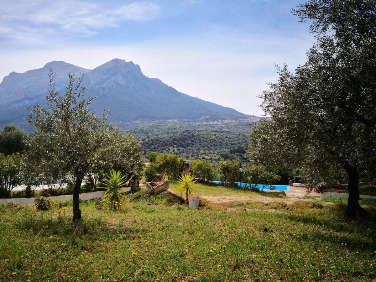 Villa L'Oleandro Oliena Ngoại thất bức ảnh