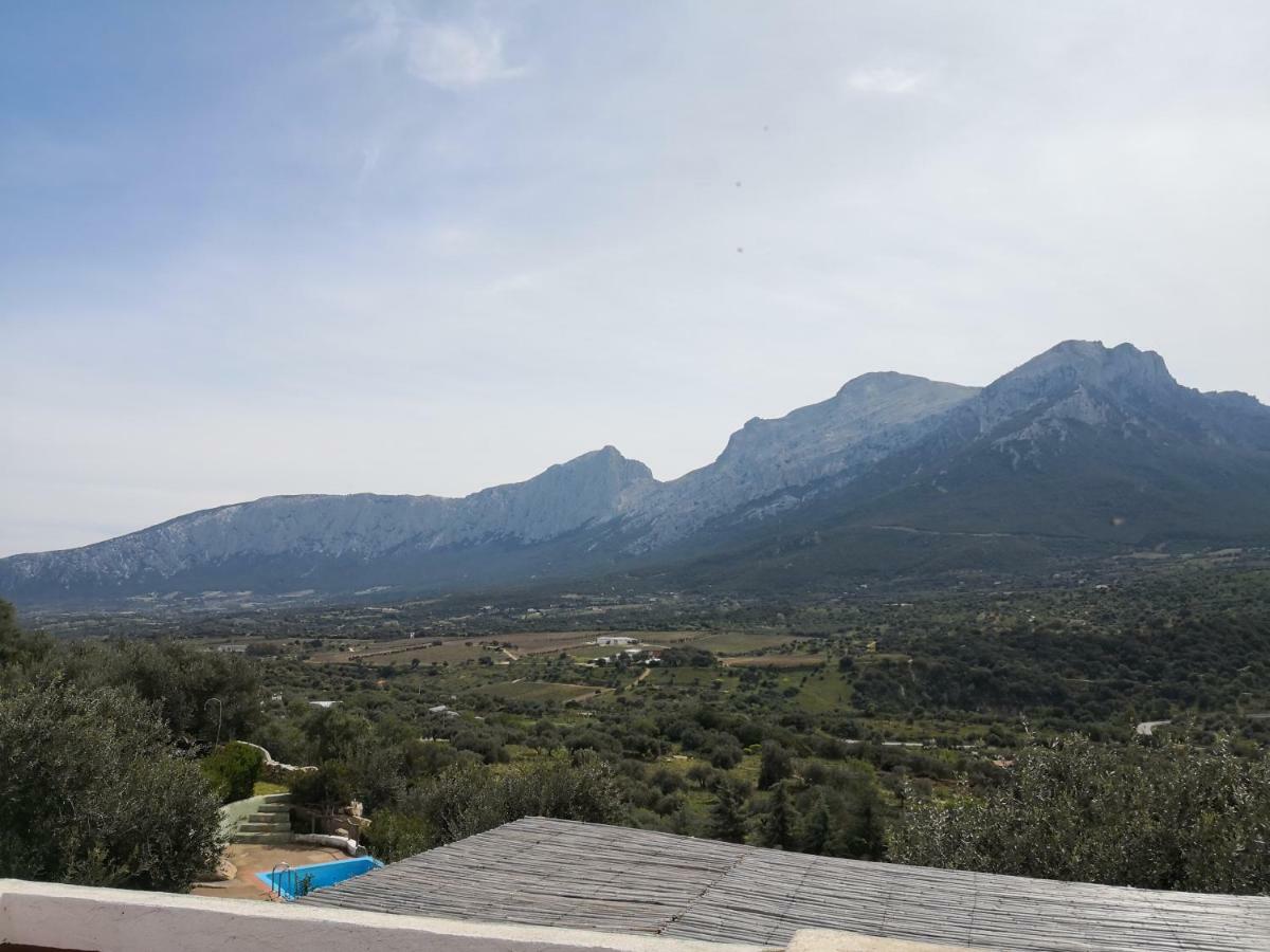 Villa L'Oleandro Oliena Ngoại thất bức ảnh